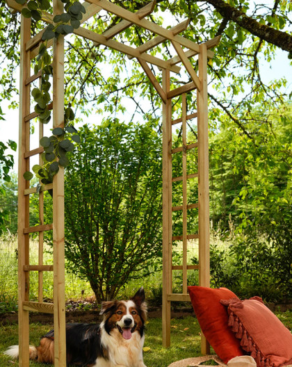 Pergola bois clair PASSIFLORE