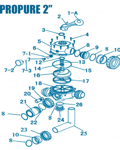 Vanne Propure 2 pouces - Num 4 - Vis de fixation de couvercle (lunité) et Ecrou de fixation de couvercle (lunité)