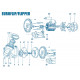 Pompe EuroFlip - Flipper - Num 8 - Turbine 1CV mono