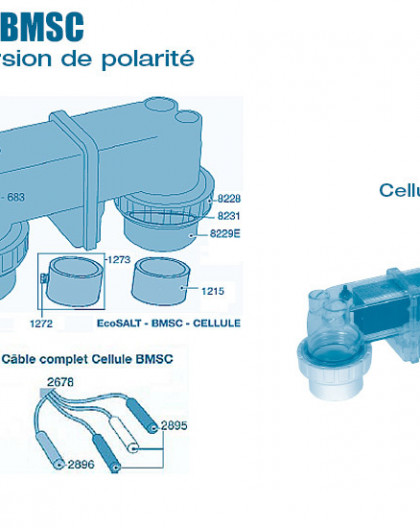 Electrolyseur Ecosalt BMSC inversion de polarité - Cellule - Num 681 - Cellule BMSC 13