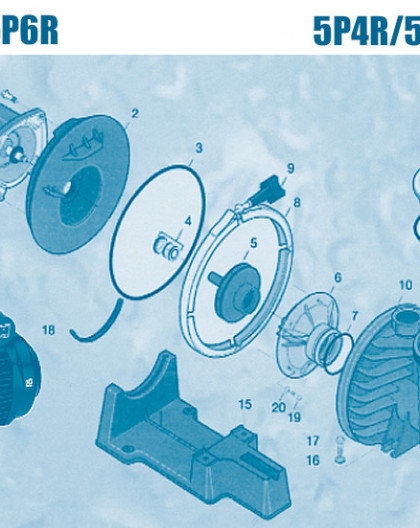 Pompe 5P4R et 5P6R - Num 21 - Vis de moteur