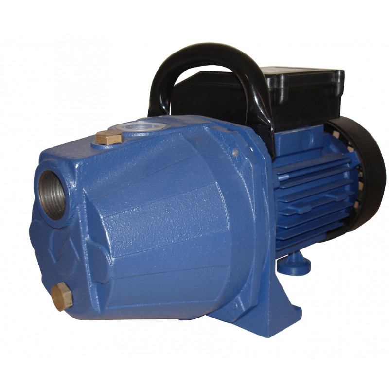 Pompe D'Arrosage De Surface 600W Ekko pumps JET60