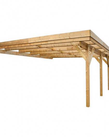 Carport adossant Evolution2 - 2 voitures 600x510x234 cm