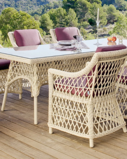 Salon de Jardin Table 220x110cm IVOIRE + 8 places